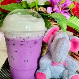 เผือกนมสด