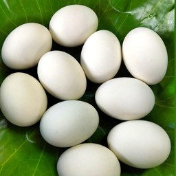 ไข่เค็ม