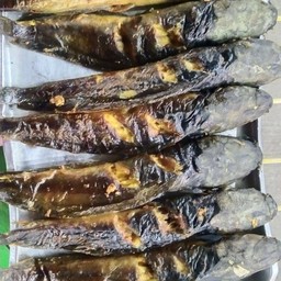ปลาดุกย่าง