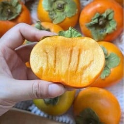 พลับเกาหลี  พร้อมทาน