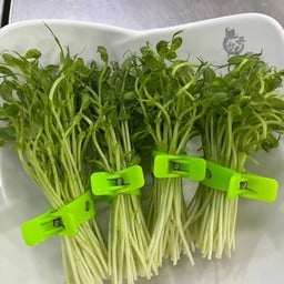 โต้วเหมียว