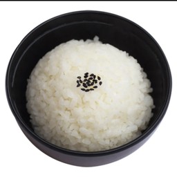ข้าวญี่ปุ่น