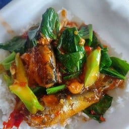 ข้าวราดคะน้าปลากะป๋อง