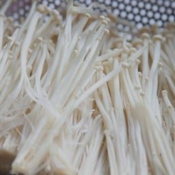 เห็ดเข็มทอง