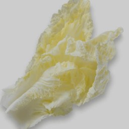 ผักกาดขาว