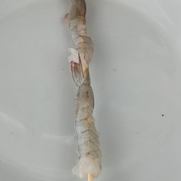 กุ้ง