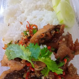 ปลานิลทอดคั่วพริกเกลือราดข้าว