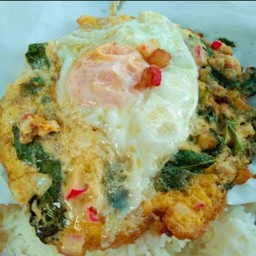 ข้าวราดไข่เจียวดาว