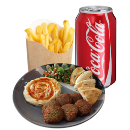 Falafel Plate Combo