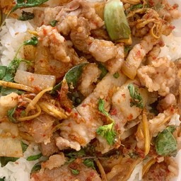 ข้าวผัดเผ็ดหมูป่า