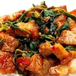 กระเพราหมูกรอบพิเศษไข่ดาว