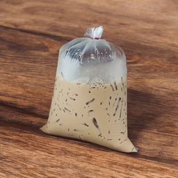 เนสกาแฟเย็น