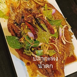 ปลากระพงน้ำตก