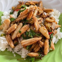ข้าวกะเพราปู