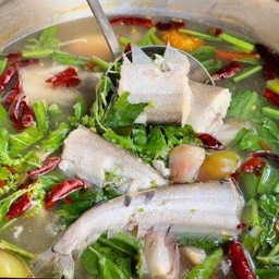 แกงป่าปลาเนื้ออ่อน(หม้อ)