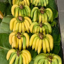 กล้วยหอมทองหวีใหญ่