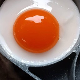 ไข่ดาว1ใบ