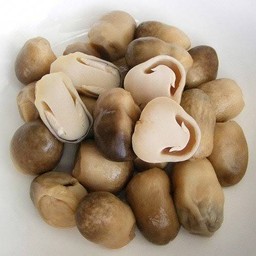 เห็ดฟาง