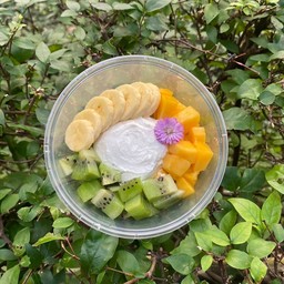 กรีกโยเกิร์ต เซต M