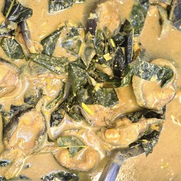 แกงปลาดุกชะพลู