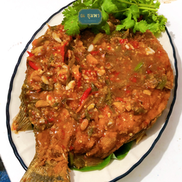 ปลากะพงทอดราดพริก ณ ชุมพร