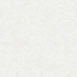 โอเลี้ยงยกล้ออ