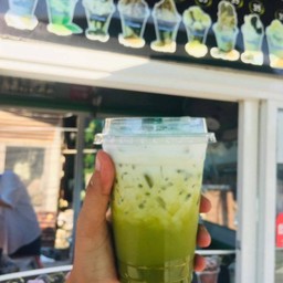 Greentea 16 Oz