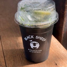 ชาเขียวมะนาว