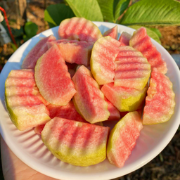 ฝรั่งหงเป่าสือ  แบบกล่องพาสติก