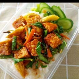 ข้าวราดผัดกระเพาเทมเป้