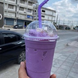 เผือก