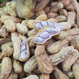 น้องแพรวข้าวโพดต้ม ถั่วต้ม