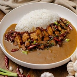 ข้าวหมูทอดน้ำปลาผัดพริกแห้ง แกงกะหรี่ญี่ปุ่น