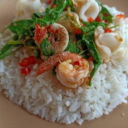 กะเพรากุ้ง ปลาหมึก ราดข้าว