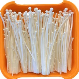 เห็ดเข็มทอง
