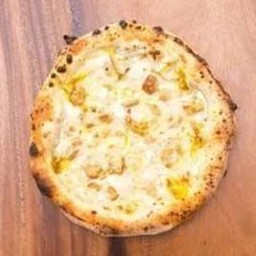 Vegan Cheese Pizza 15 16