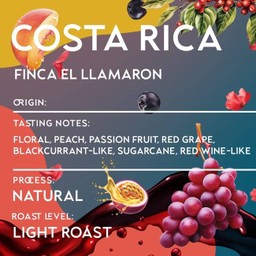 MENU_2921631Rf_1733208009