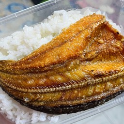 ข้าว ปลาดุกแดดเดียวทอด