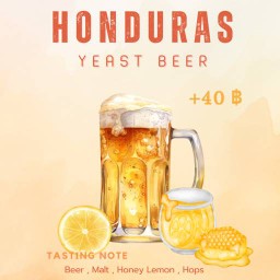 Honduras Yeast Beer
