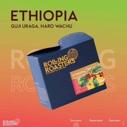 MENU_2921631Rf_1733208006