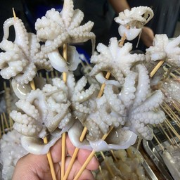 หมึกสาย