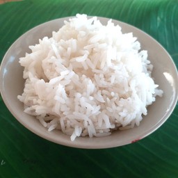 ข้าวสวย หอมมะลิ สุรินทร์