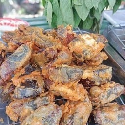 ไข่เยี่ยวม้า