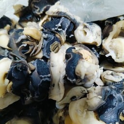 หอยเชอรี่