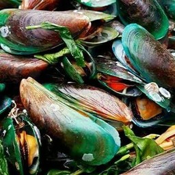 หอยแมลงภู่นึ่งกับใบโหระพา