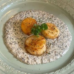 Truffle Scallop