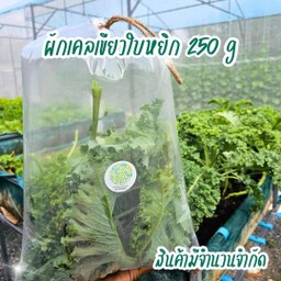 ผักเคลเขียวใบหยิก สด 200 g
