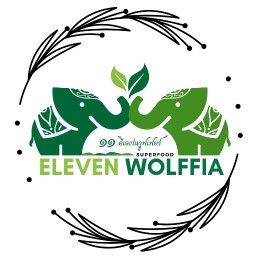 Eleven Wolffia ประตูท่าแพ