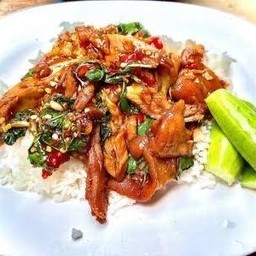 ข้าวกระเพราขาหมู  (ร้านขาหมูสูตรเตี่ย)