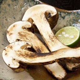 Y08 เห็ดออเรนจิ Eryngii Mushroom